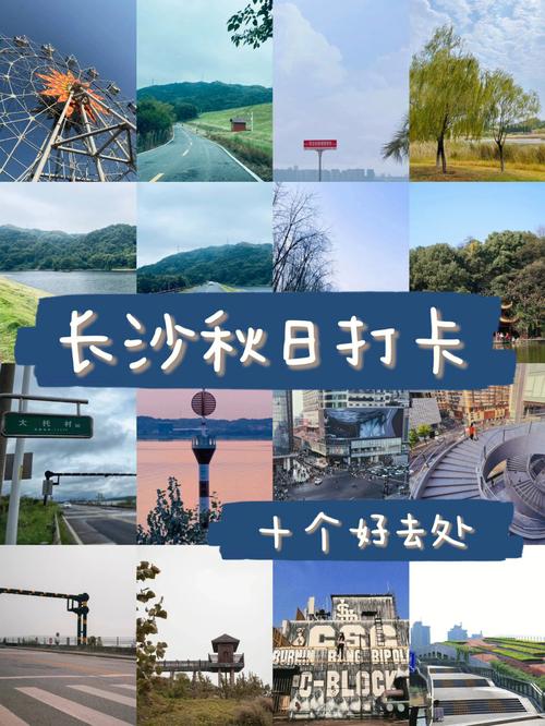 长沙旅游攻略景点必去,长沙张家界旅游自由行攻略-第1张图片-微云百科 长沙旅游攻略景点必去,长沙张家界旅游自由行攻略-第1张图片-微云百科