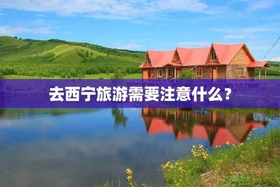 西宁出行最新规定（西宁出行最新规定通知）-第3张图片-微云百科