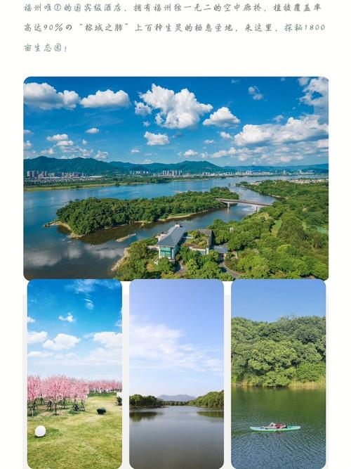 鲤鱼洲国宾馆旅游攻略 - 鲤鱼洲酒店攻略-第4张图片-微云百科 鲤鱼洲国宾馆旅游攻略 - 鲤鱼洲酒店攻略-第4张图片-微云百科
