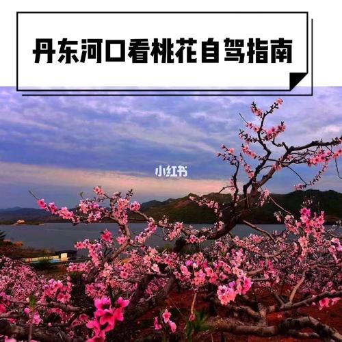丹东河口景区旅游攻略（丹东河口景区旅游攻略一日游）-第1张图片-微云百科