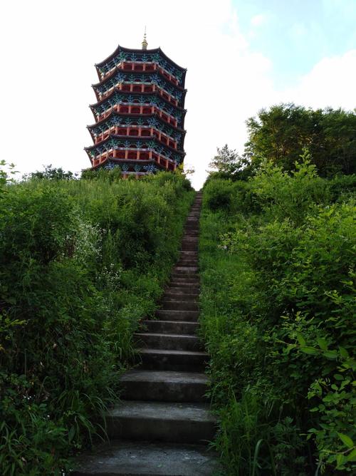 抚松天气，抚松天气预报15天查询-第3张图片-微云百科
