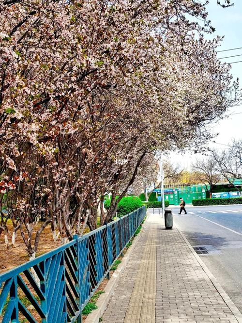 乌兰巴托天气预报(乌兰巴托天气预报七天)-第3张图片-微云百科 乌兰巴托天气预报(乌兰巴托天气预报七天)-第3张图片-微云百科