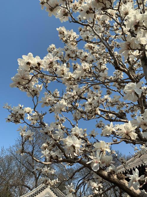 乌兰巴托天气预报(乌兰巴托天气预报七天)-第8张图片-微云百科 乌兰巴托天气预报(乌兰巴托天气预报七天)-第8张图片-微云百科
