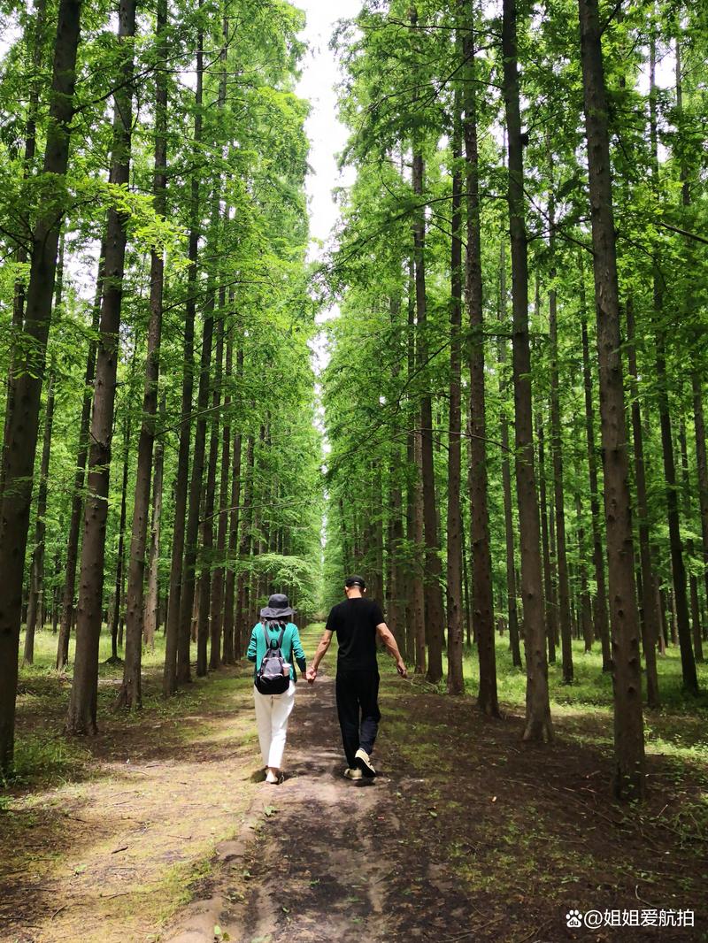 上海崇明旅游攻略详细 - 崇明 旅游攻略-第2张图片-微云百科 上海崇明旅游攻略详细 - 崇明 旅游攻略-第2张图片-微云百科