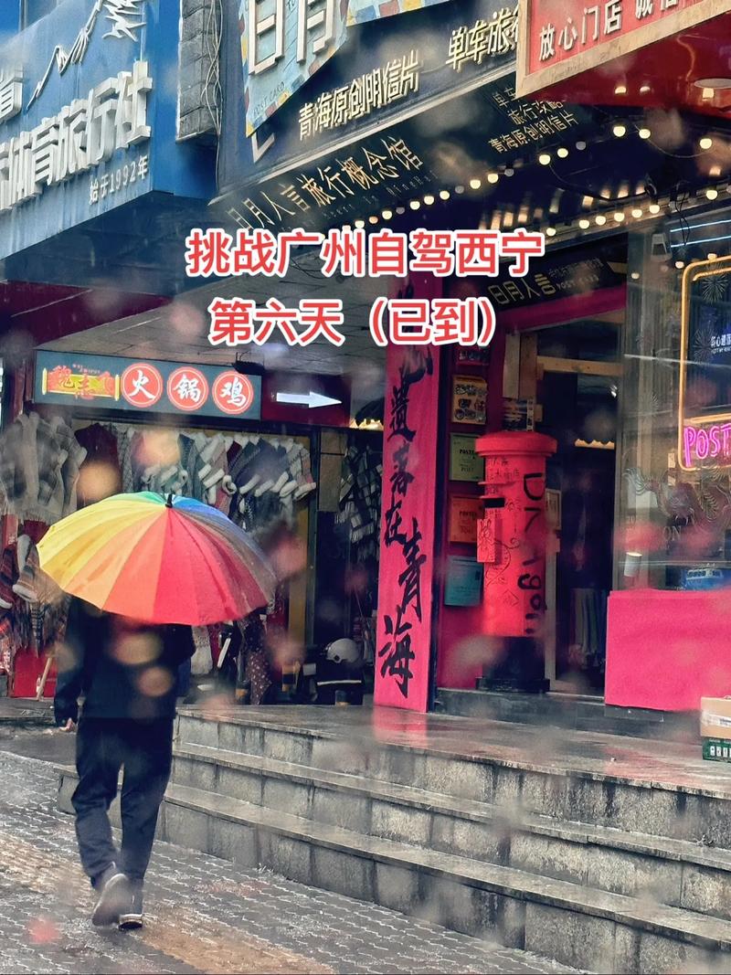 西宁限制出行公告(西宁限制外省车辆进入吗)-第5张图片-微云百科 西宁限制出行公告(西宁限制外省车辆进入吗)-第5张图片-微云百科