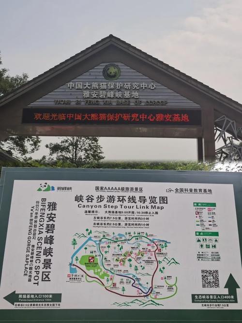碧峰峡风景区旅游攻略（碧峰峡风景区旅游攻略图）-第2张图片-微云百科