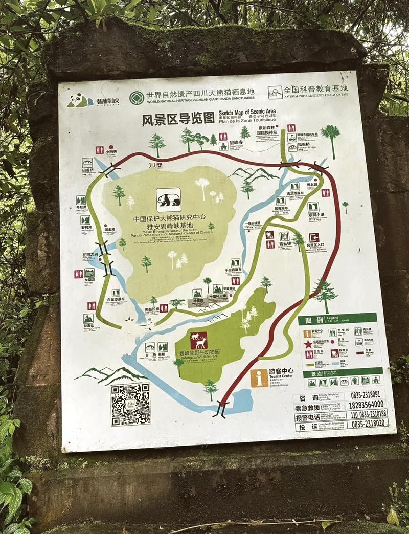 碧峰峡风景区旅游攻略（碧峰峡风景区旅游攻略图）-第5张图片-微云百科