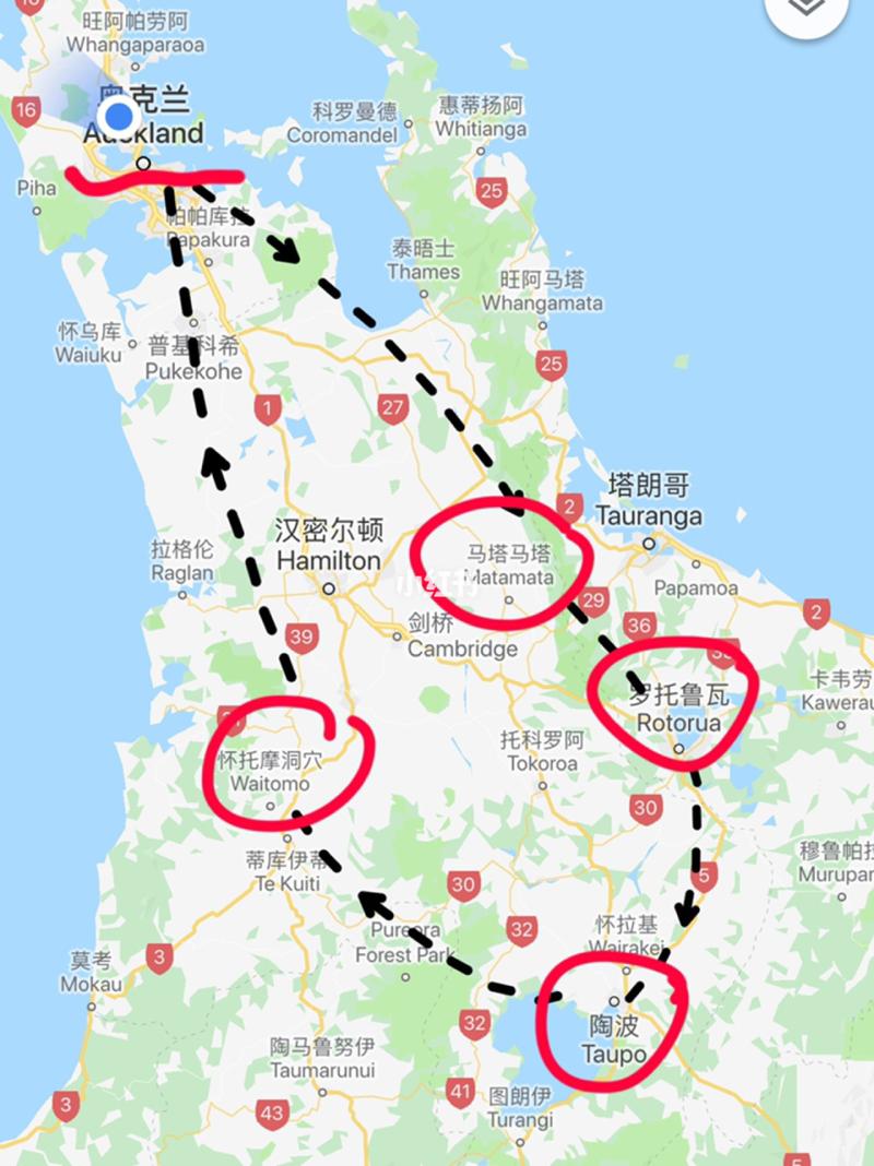 新西兰自由行旅游攻略（新西兰旅游攻略,太美了,建议收藏!）-第7张图片-微云百科