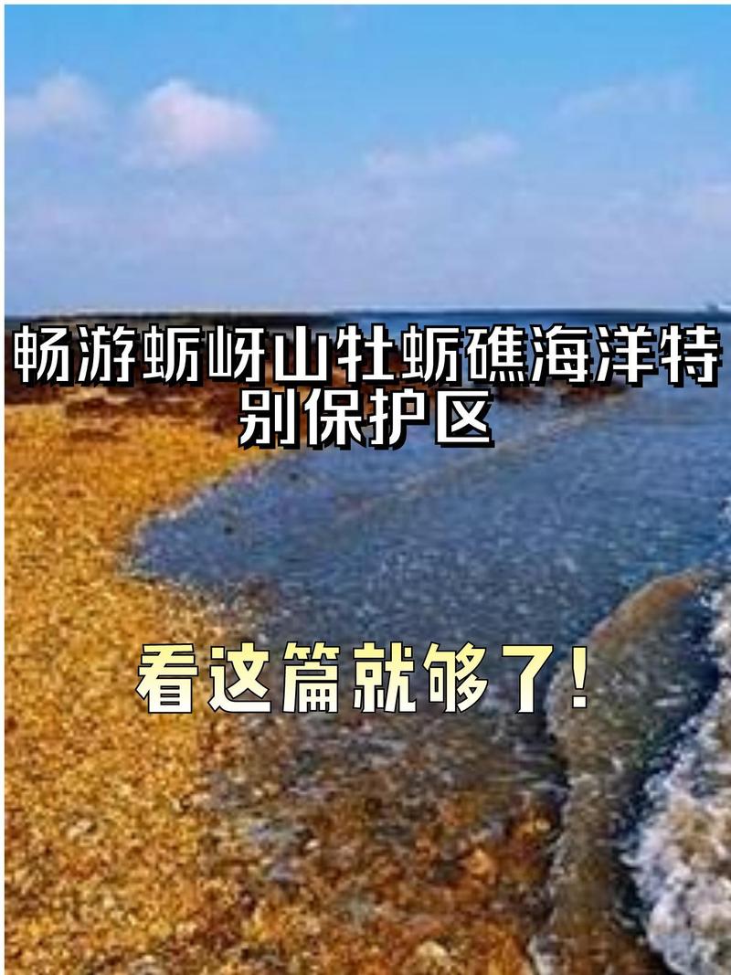 东灶港蛎蚜山旅游攻略，蛎蚜山游记-第6张图片-微云百科