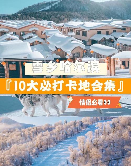 武汉到哈尔滨旅游攻略（武汉到哈尔滨旅游攻略自驾游）-第2张图片-微云百科