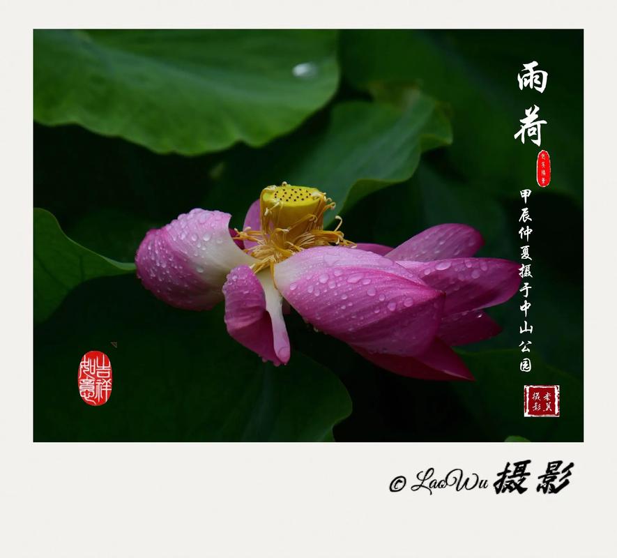 花莲天气,花莲天气预报7天查询-第1张图片-微云百科 花莲天气,花莲天气预报7天查询-第1张图片-微云百科