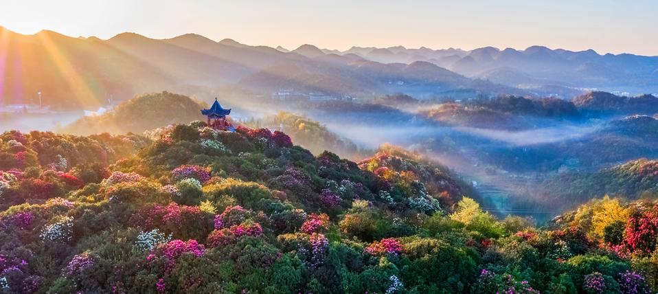 黑龙江省天气预报查询,黑龙江省天气情况-第5张图片-微云百科 黑龙江省天气预报查询,黑龙江省天气情况-第5张图片-微云百科