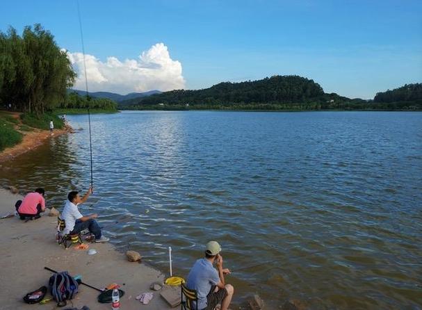 洪湖天气 - 洪湖天气预报15天准确 一个月-第3张图片-微云百科 洪湖天气 - 洪湖天气预报15天准确 一个月-第3张图片-微云百科