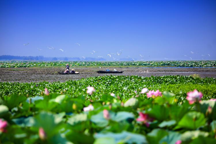 洪湖天气 - 洪湖天气预报15天准确 一个月-第5张图片-微云百科 洪湖天气 - 洪湖天气预报15天准确 一个月-第5张图片-微云百科
