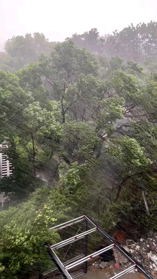 徐州睢宁天气 - 徐州睢宁天气预报-第5张图片-微云百科 徐州睢宁天气 - 徐州睢宁天气预报-第5张图片-微云百科