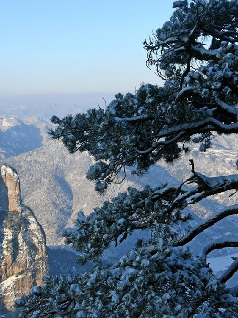 下雪天出行攻略,下雪天适合出去玩吗-第3张图片-微云百科 下雪天出行攻略,下雪天适合出去玩吗-第3张图片-微云百科