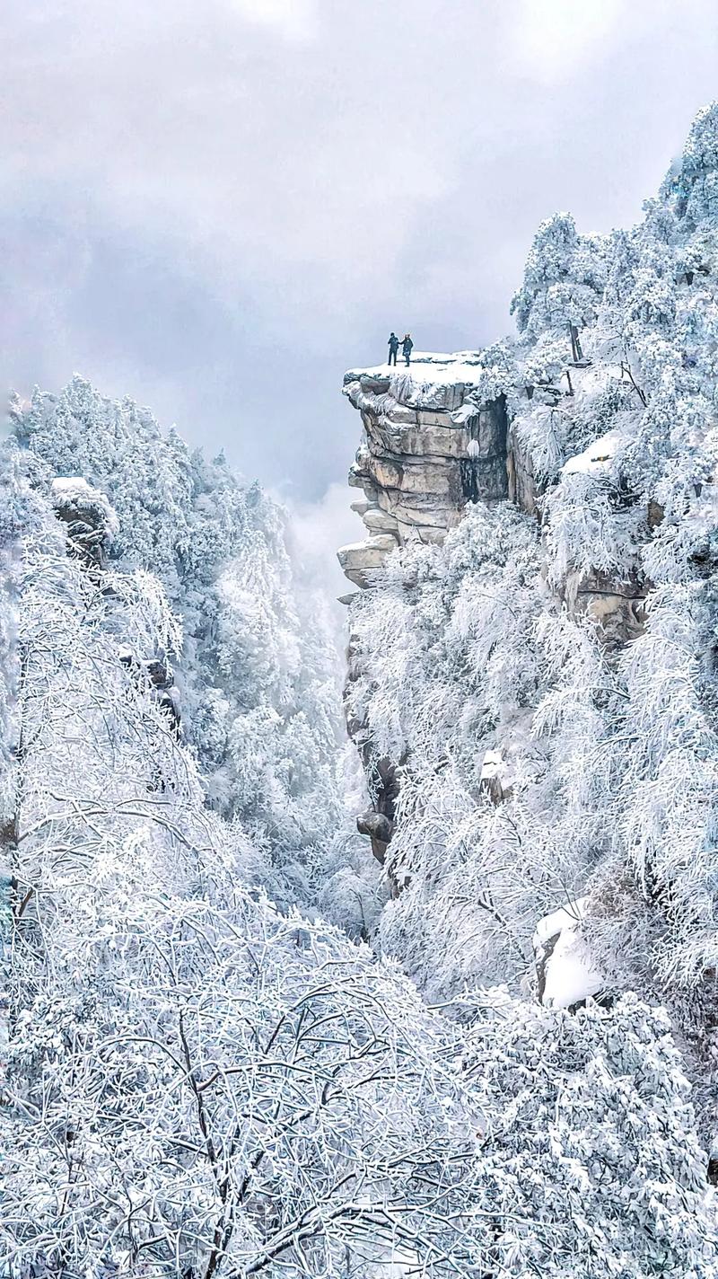 下雪天出行攻略,下雪天适合出去玩吗-第4张图片-微云百科 下雪天出行攻略,下雪天适合出去玩吗-第4张图片-微云百科