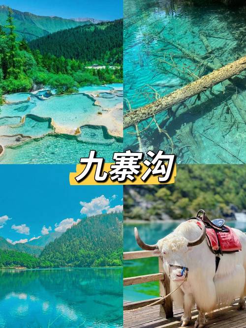 重庆到九寨沟旅游攻略(重庆到九寨沟旅游攻略一日游)-第2张图片-微云百科 重庆到九寨沟旅游攻略(重庆到九寨沟旅游攻略一日游)-第2张图片-微云百科