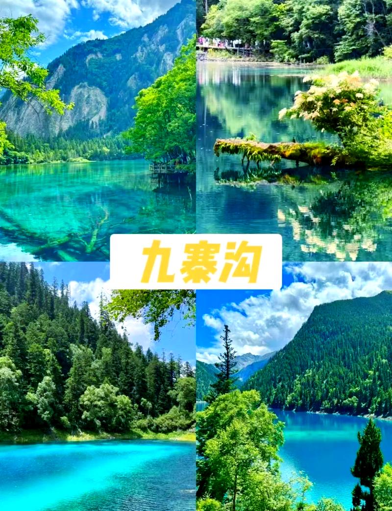 重庆到九寨沟旅游攻略(重庆到九寨沟旅游攻略一日游)-第3张图片-微云百科 重庆到九寨沟旅游攻略(重庆到九寨沟旅游攻略一日游)-第3张图片-微云百科