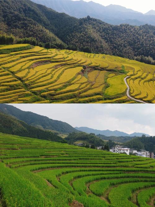 连山欧家梯田旅游攻略，莲山欧家梯田-第4张图片-微云百科