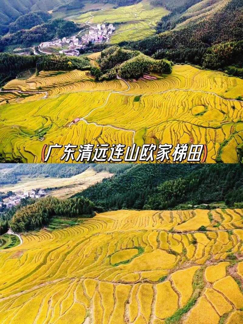 连山欧家梯田旅游攻略，莲山欧家梯田-第7张图片-微云百科