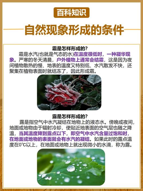 多伦多天气预报,多伦多天气预报30天查询-第4张图片-微云百科 多伦多天气预报,多伦多天气预报30天查询-第4张图片-微云百科