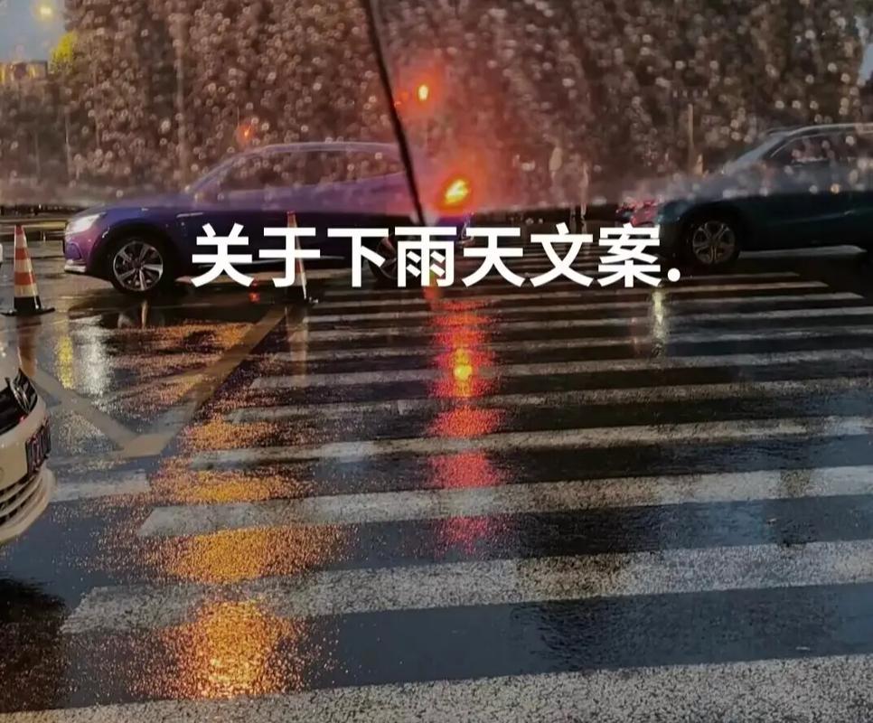 下着大雨出行的朋友圈说说 - 下大雨出去玩的说说-第2张图片-微云百科