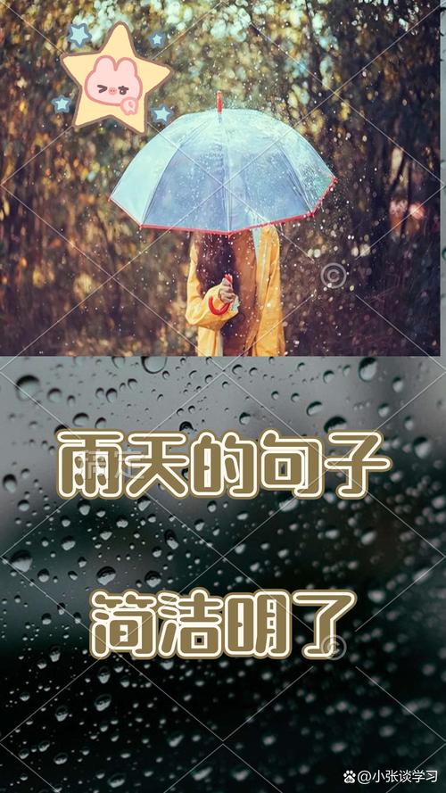 下着大雨出行的朋友圈说说 - 下大雨出去玩的说说-第6张图片-微云百科