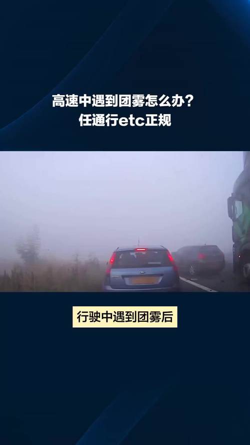 大雾天气开车 - 大雾天气开车注意安全的说说-第3张图片-微云百科 大雾天气开车 - 大雾天气开车注意安全的说说-第3张图片-微云百科