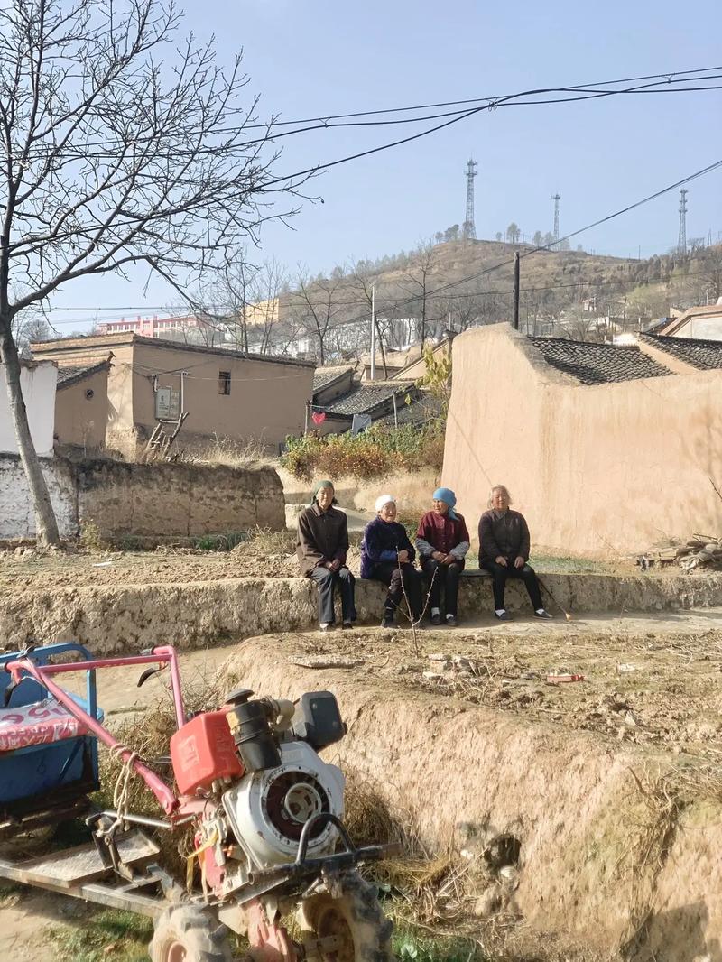 西北地区传统出行(西北地区的饮食民俗形成原因)-第4张图片-微云百科 西北地区传统出行(西北地区的饮食民俗形成原因)-第4张图片-微云百科