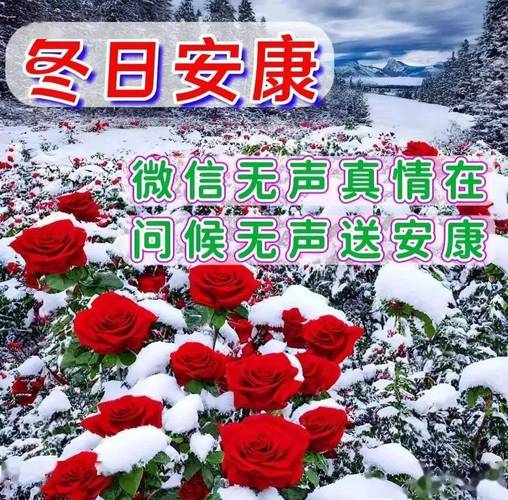 下雪了出行平安(下雪出行注意安全的温馨提示)-第3张图片-微云百科 下雪了出行平安(下雪出行注意安全的温馨提示)-第3张图片-微云百科
