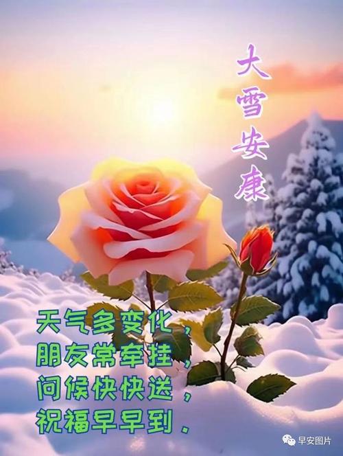 下雪了出行平安(下雪出行注意安全的温馨提示)-第5张图片-微云百科 下雪了出行平安(下雪出行注意安全的温馨提示)-第5张图片-微云百科