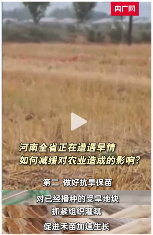 湖口天气,湖口天气预报15天查询2345-第1张图片-微云百科 湖口天气,湖口天气预报15天查询2345-第1张图片-微云百科