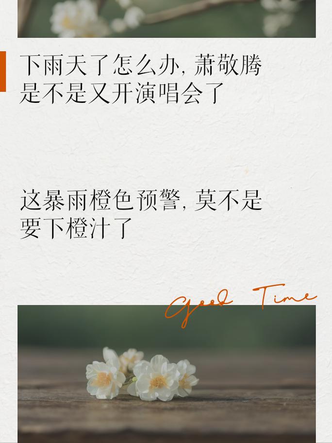 下雨天一个人出行文案搞笑 - 下雨天一个人在路上的说说-第4张图片-微云百科 下雨天一个人出行文案搞笑 - 下雨天一个人在路上的说说-第4张图片-微云百科