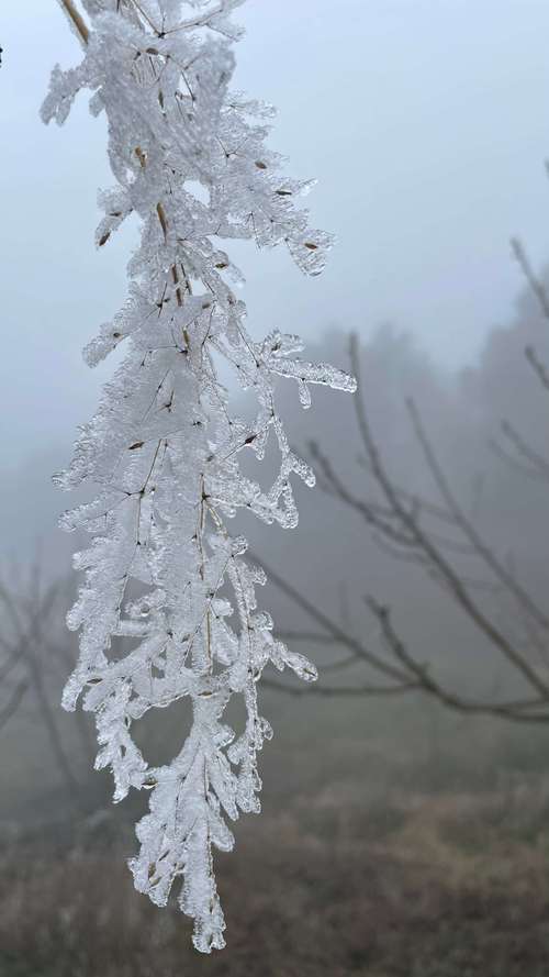 盈江天气，盈江天气预报一周 7天-第6张图片-微云百科