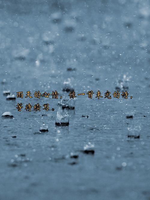 下雨出行心情短句(下雨出行的话怎么说)-第3张图片-微云百科 下雨出行心情短句(下雨出行的话怎么说)-第3张图片-微云百科