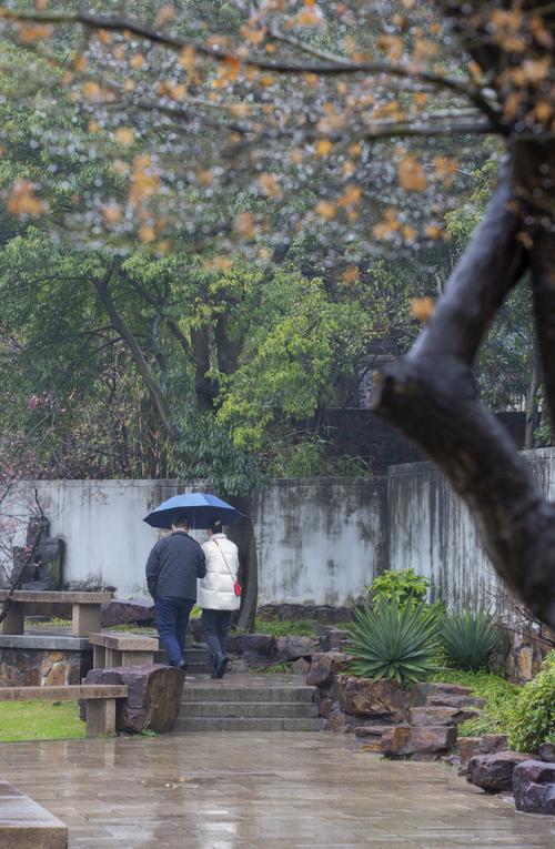 下雨还能出行的地方是哪里,下雨能出门-第4张图片-微云百科 下雨还能出行的地方是哪里,下雨能出门-第4张图片-微云百科
