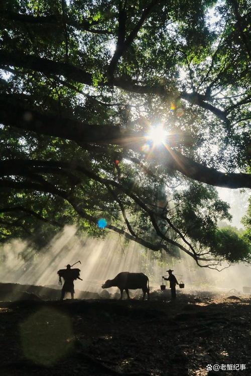 杨家溪风景区旅游攻略(杨家溪风景区旅游攻略自驾游)-第5张图片-微云百科 杨家溪风景区旅游攻略(杨家溪风景区旅游攻略自驾游)-第5张图片-微云百科