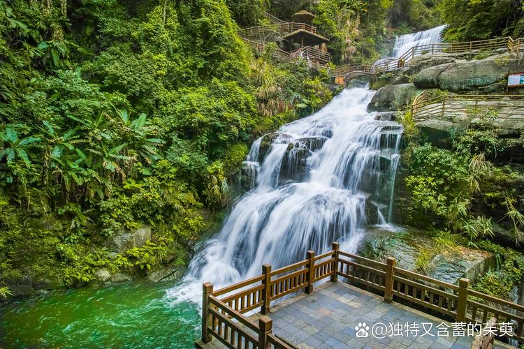 杨家溪风景区旅游攻略(杨家溪风景区旅游攻略自驾游)-第6张图片-微云百科 杨家溪风景区旅游攻略(杨家溪风景区旅游攻略自驾游)-第6张图片-微云百科