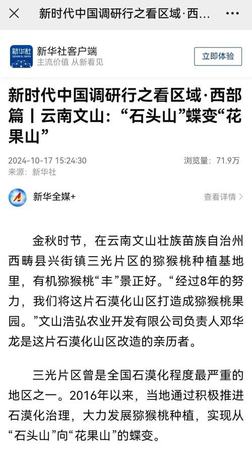 西畴兴街出行证明哪里开 - 西畴县出租车电话-第4张图片-微云百科
