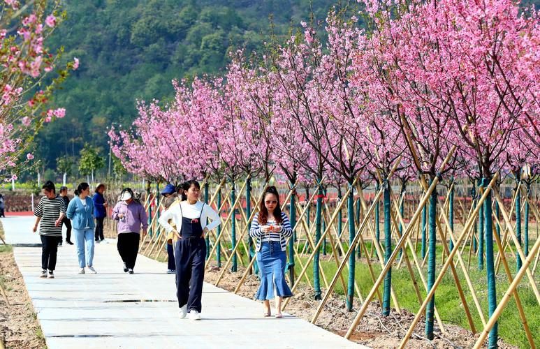 东阳天气,东阳天气预报30天查询百度-第3张图片-微云百科 东阳天气,东阳天气预报30天查询百度-第3张图片-微云百科