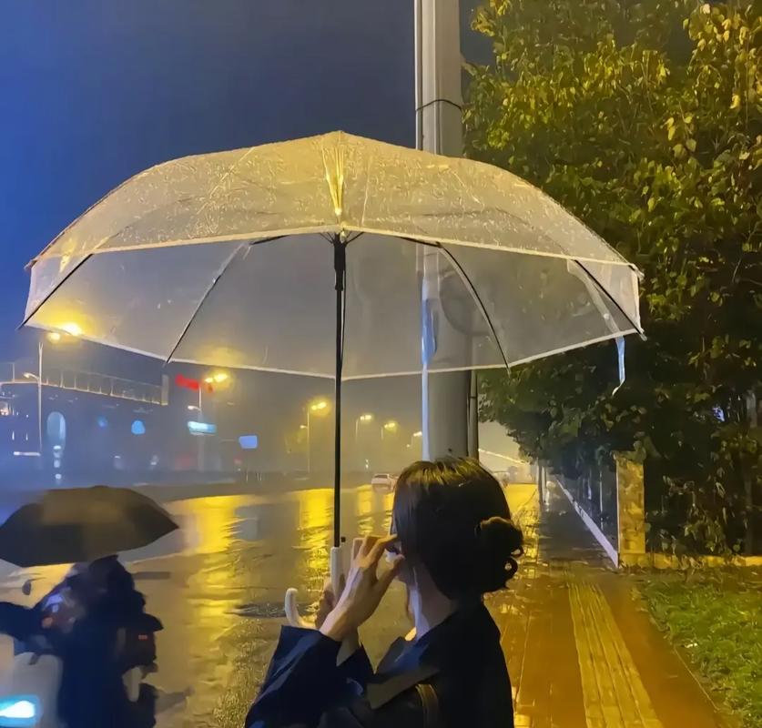 下雨天出行用什么工具防晒(下雨天出行用什么工具防晒好)-第3张图片-微云百科 下雨天出行用什么工具防晒(下雨天出行用什么工具防晒好)-第3张图片-微云百科