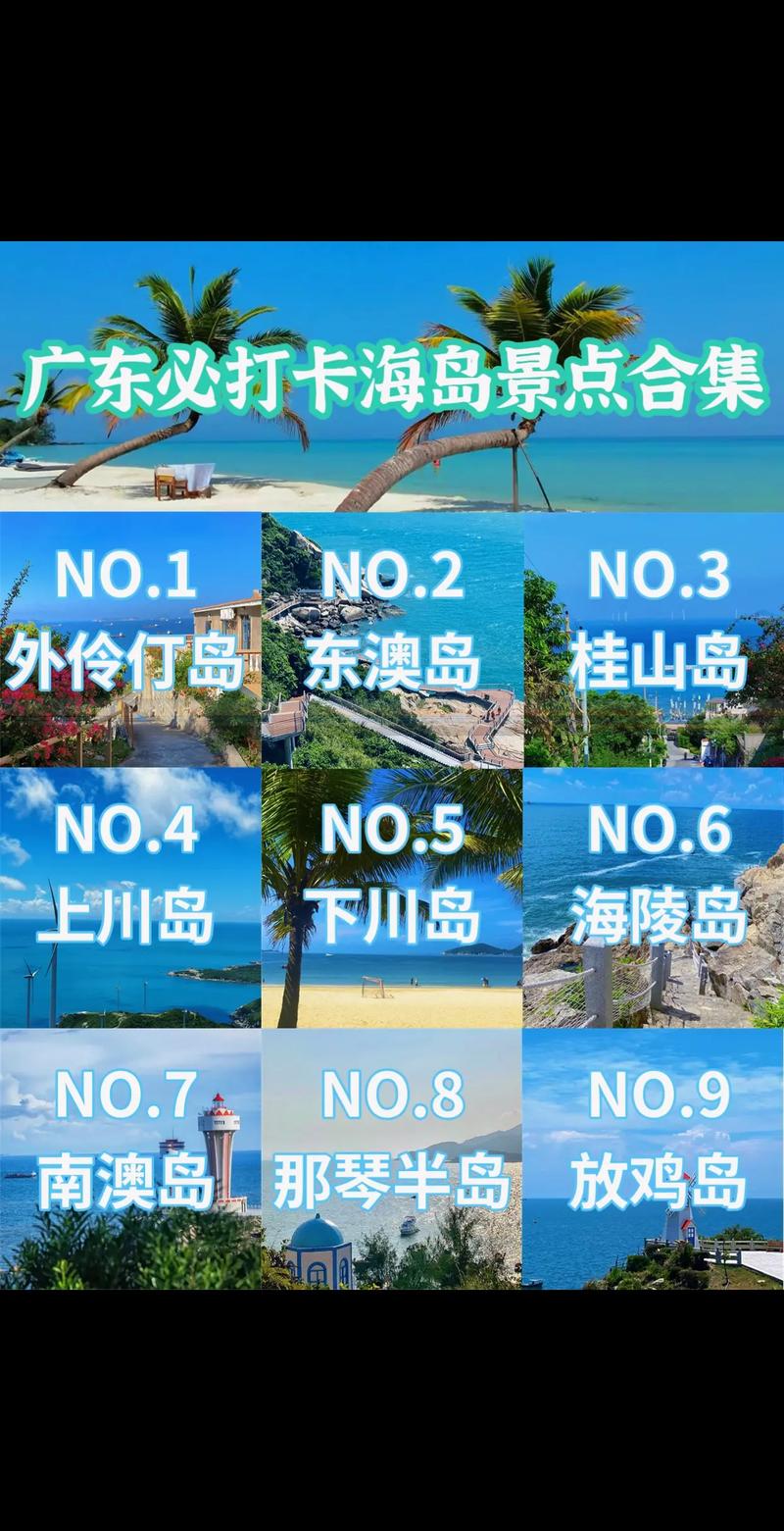 伶仃岛旅游攻略一日游,伶仃岛旅游攻略一日游费用-第5张图片-微云百科 伶仃岛旅游攻略一日游,伶仃岛旅游攻略一日游费用-第5张图片-微云百科