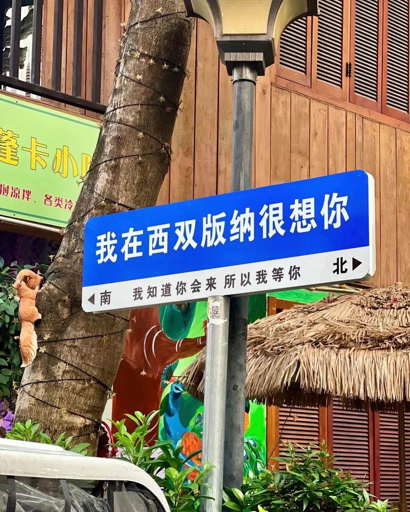 西双版纳面包车出行路线(西双版纳包车一般一天多少钱)-第5张图片-微云百科 西双版纳面包车出行路线(西双版纳包车一般一天多少钱)-第5张图片-微云百科