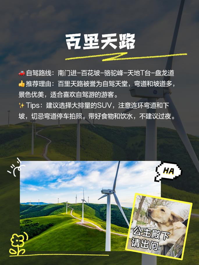 康巴诺尔草原旅游攻略 - 康巴若尔-第6张图片-微云百科 康巴诺尔草原旅游攻略 - 康巴若尔-第6张图片-微云百科