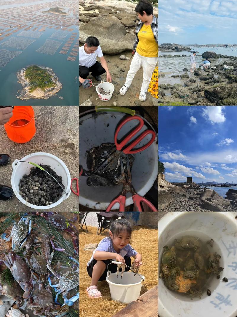 东山岛澳角村旅游攻略（东山岛澳角渔港）-第4张图片-微云百科