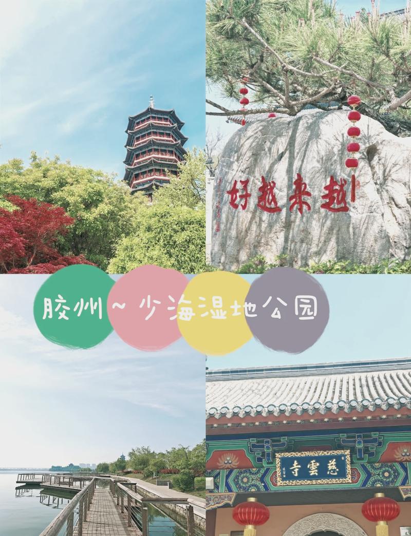 少海湿地公园旅游攻略(少海湿地公园好玩吗)-第2张图片-微云百科 少海湿地公园旅游攻略(少海湿地公园好玩吗)-第2张图片-微云百科