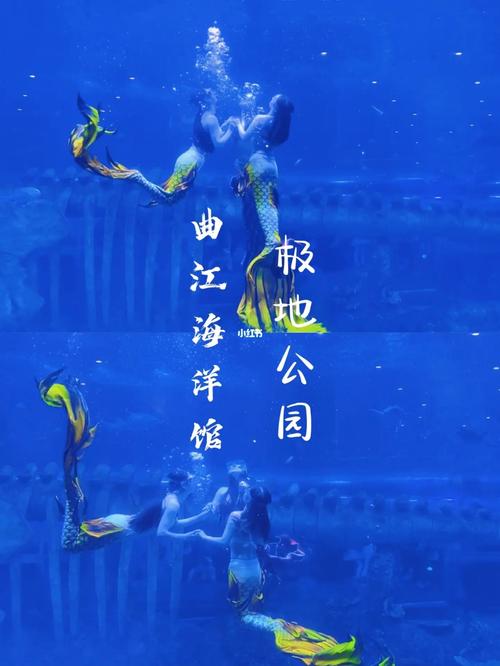 西安曲江出行最新政策，西安曲江出行最新政策电话-第4张图片-微云百科
