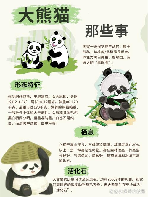 西安熊猫出行证，熊猫出行app下载安装熊猫出行-第2张图片-微云百科