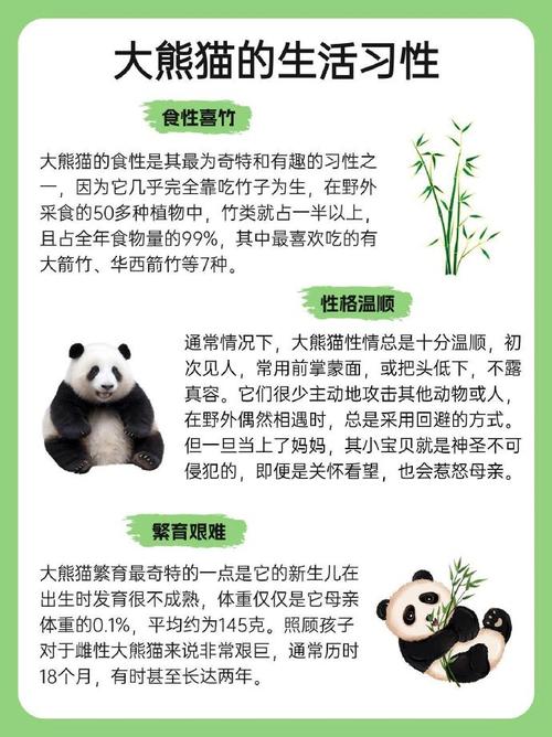 西安熊猫出行证，熊猫出行app下载安装熊猫出行-第3张图片-微云百科